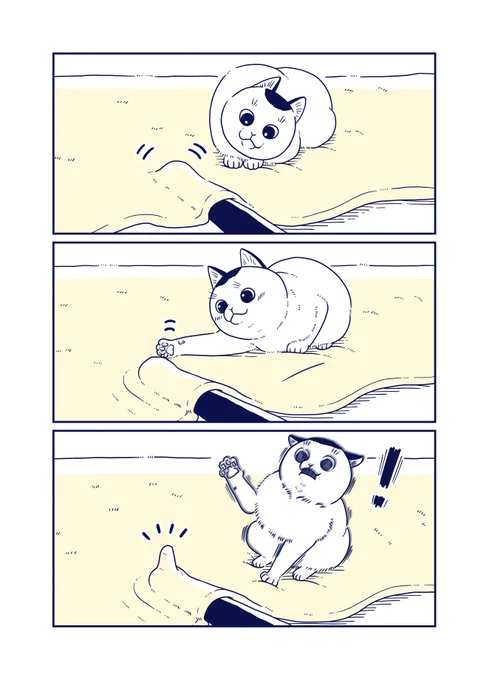 ビックリキャット 