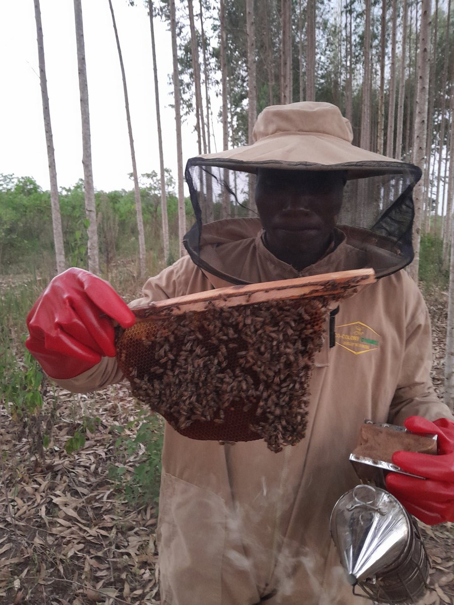 iwandera06's tweet photo. Nature provides free lunch, but only if we control our appetite !! @ecocolony https://t.co/yETRlhkEL3