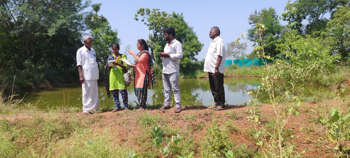 TNIAMProject's tweet image. Conducting impact assesment survey by TNAU team in Uppar sub basin farm ponds at Poonchuthi and Veppadappu villages of Melur block of Madurai district
AED Specialist
@Worldbank @WorldBankWater @WBPubs @WorldBankIndia @tamilnadu_wrd @tn_agriengg @FisheriesTN
#AgriEngineering…