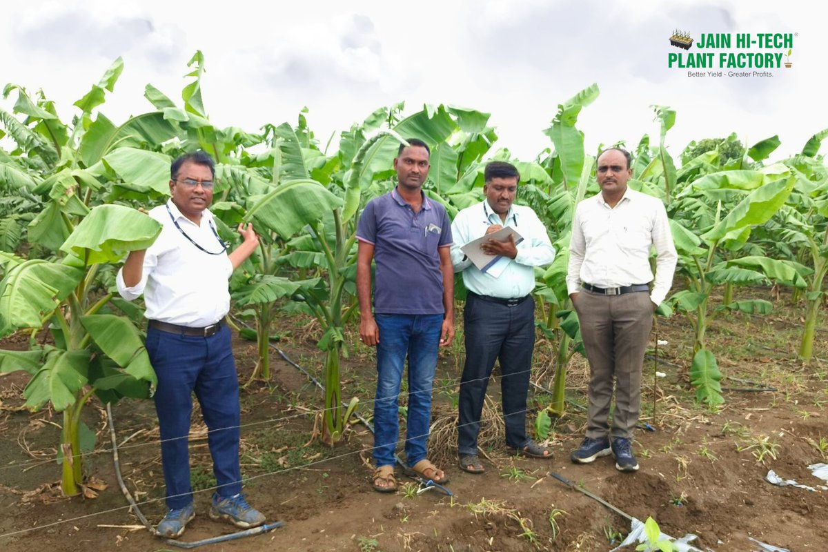 🧑‍🌾🌱 Jain Experts in the field. For you. Always.
They walk through slush, dust, and sunshine right into your field.

Because Jain Experts don’t sit behind desks —
They inspect your crops, check your leaves, and listen to your farming stories.
They bring science in one hand, and