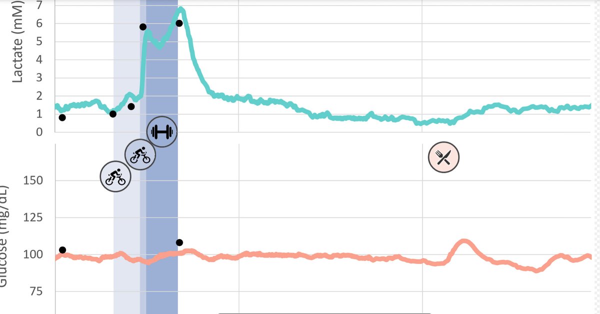 Howard Luks MD (@hjluks) on Twitter photo CLM Day 1 data using <a href="/Percusense/">PercuSense Inc.</a> multianalyte sensor. It measured Lactate, Glucose, and Oxygen.
This was a full morning...
1. Walked the dogs.
2. Rode for ~ 50 min @ 140W, HR 115
3. Sprinted~ 10 min @ ~ 275W, HR 155
Tested lactate via meter along the way- black dots. CLM Day 1 data using <a href="/Percusense/">PercuSense Inc.</a> multianalyte sensor. It measured Lactate, Glucose, and Oxygen.
This was a full morning...
1. Walked the dogs.
2. Rode for ~ 50 min @ 140W, HR 115
3. Sprinted~ 10 min @ ~ 275W, HR 155
Tested lactate via meter along the way- black dots.