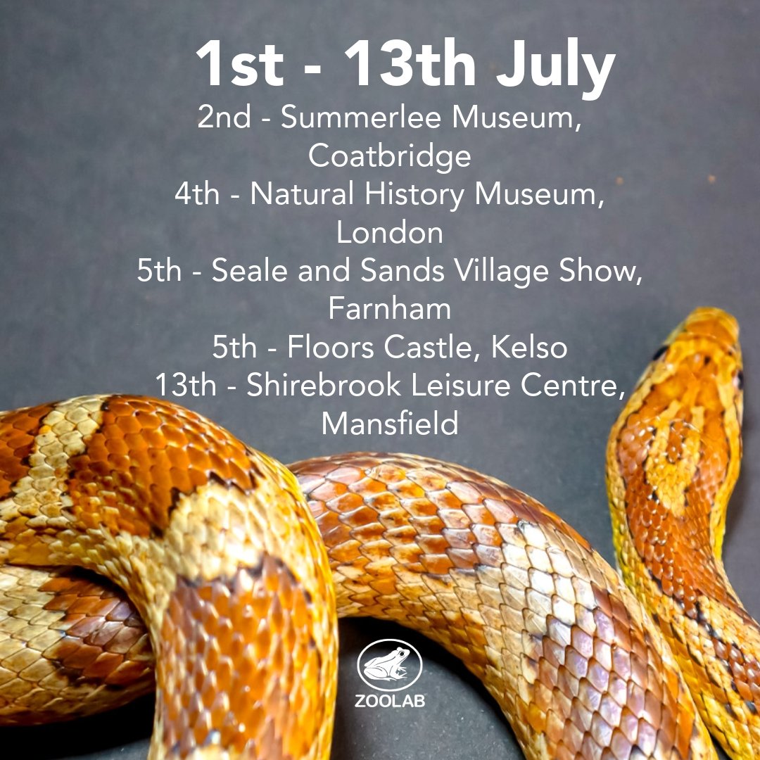 We're all over the UK next week delivering our ethical animal encounters!

Get in touch with the venue to secure your place!

#AnimalEncounters #VisitUK #AnimalLovers #FamilyFun #SummerEvents #TravelUK