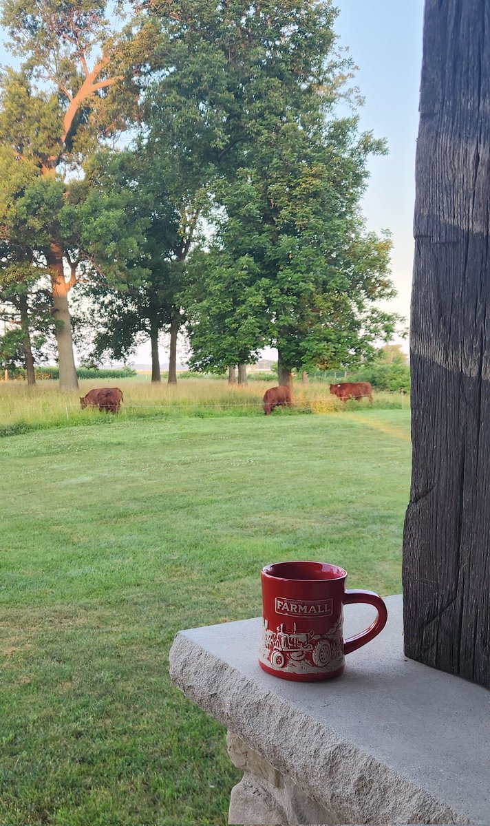 Technology is amazing.  Pretty cool sitting on front porch drinking coffee watching these autonomous pasture mowers turn salad into steaks