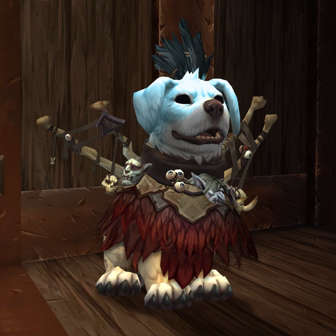 La mort attend tout le monde... à moins que vous ne soudoyiez Ouafsamdi avec une friandise. Dans ce cas, il pourrait regarder de l'Autre côté. 🐕