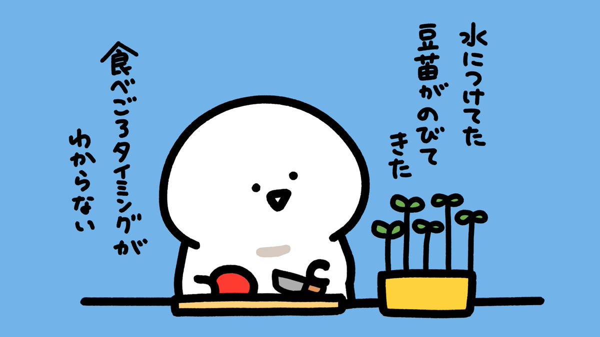 今日のできごと 