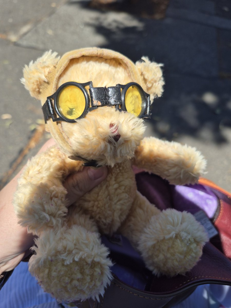 Everybody say hi to Tech (the bear) lol