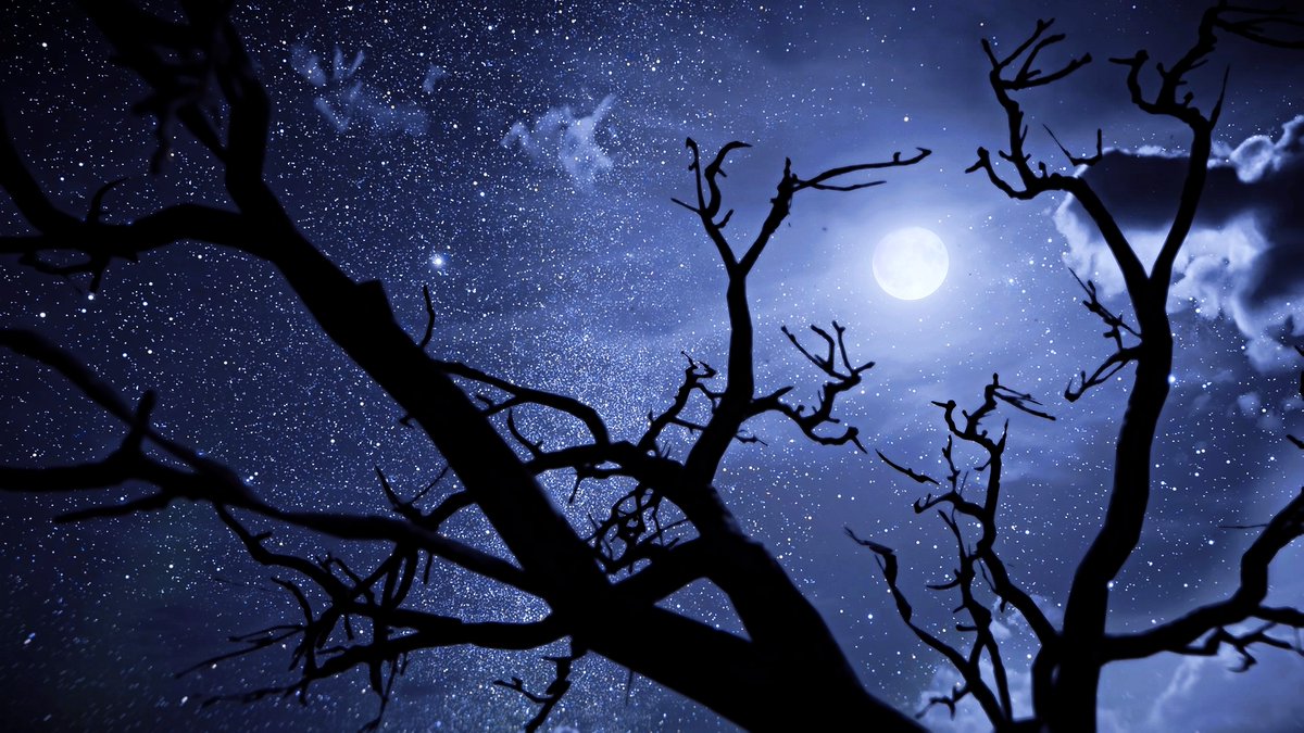 Mʏsᴛɪx tweet media