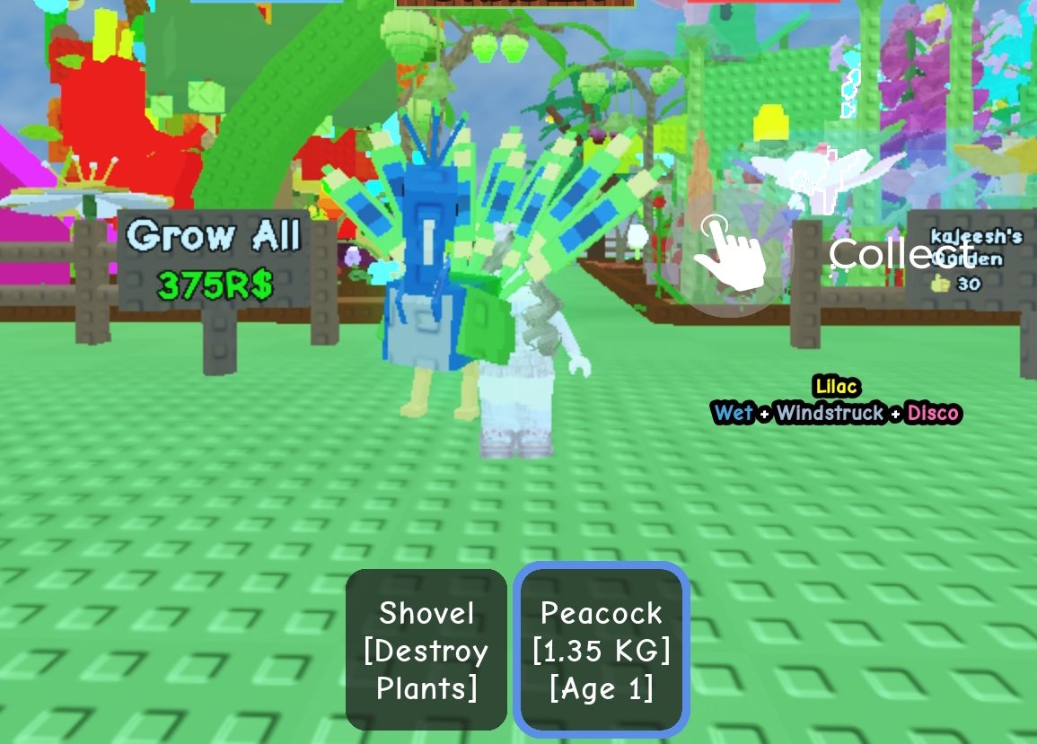 Kittsty's tweet image. peacock enak nya offer pake apa si guys