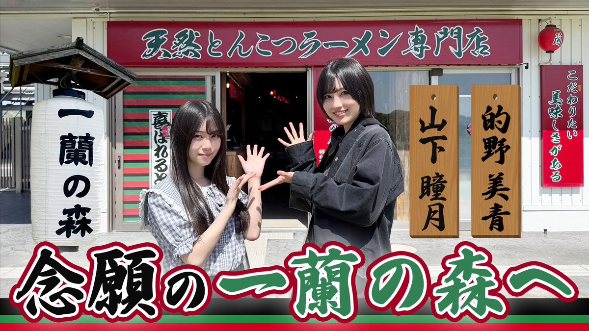 富貴蘭　二十四の瞳 富貴蘭 緑十字星 (25a44) - 「中越植物園オンラインショップ」