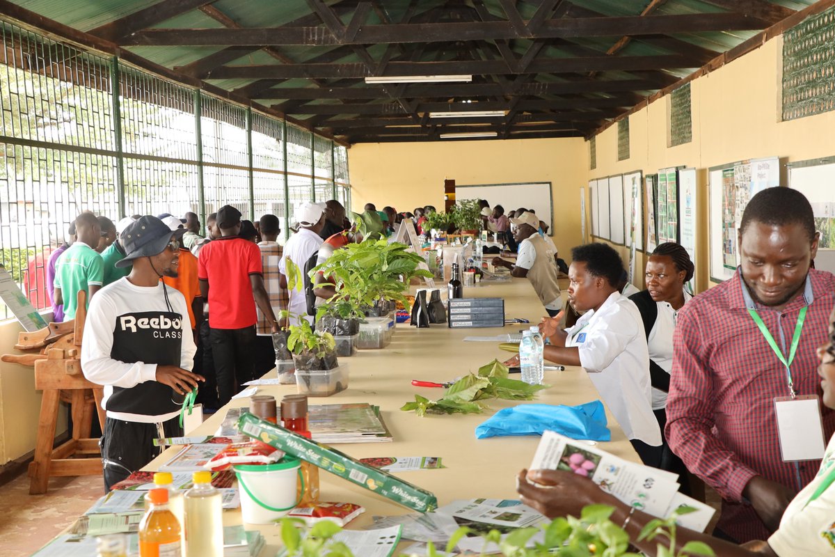 narouganda's tweet image. Honored to host H.E. @Amb_ZaakeKibedi, Uganda's Ambassador to the UAE, at the NARO village today during the 31st Agricultural Show in Jinja!
He brought with him a delegation of Arab agricultural investors, exploring exciting opportunities presented through NARO research