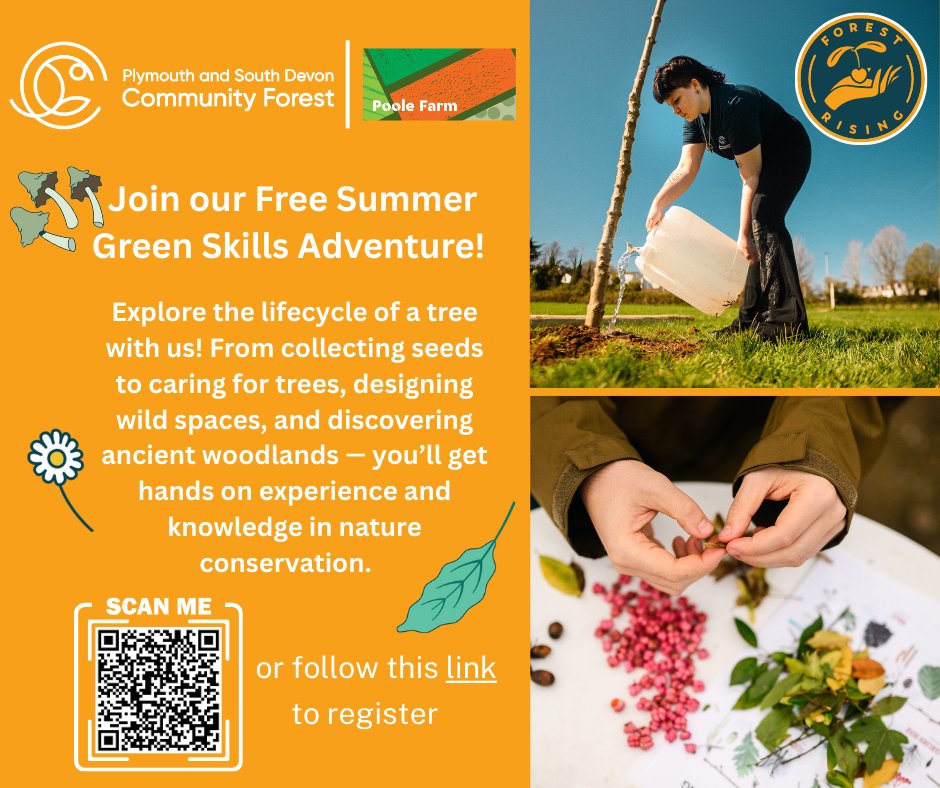 🌳 The Plymouth and South Devon Community Forest are launching their first Summer Holidays Forest Rising programme with the Poole Farm team —  it’s FREE for people aged 16 to 28 who want to get involved in conservation and tree care! 🌱

Sign up now ➡️ ow.ly/p2jG50WiV9s