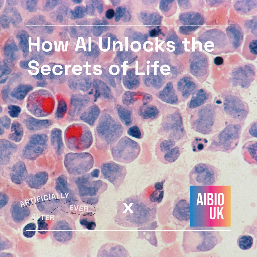 Artificially Ever After (@artificiallyea) on Twitter photo What happens when AI meets biology?🧬 Discover groundbreaking insights in our new 6-part mini-series with <a href="/aibiouk/">AI in the Biosciences (AIBIO UK) BBSRC Network</a>! We're covering history, possibilities, and amazing breakthroughs.
Ep 1, "How AI Unlocks the Secrets of Life", is live! Link in bio. What happens when AI meets biology?🧬 Discover groundbreaking insights in our new 6-part mini-series with <a href="/aibiouk/">AI in the Biosciences (AIBIO UK) BBSRC Network</a>! We're covering history, possibilities, and amazing breakthroughs.
Ep 1, "How AI Unlocks the Secrets of Life", is live! Link in bio.
