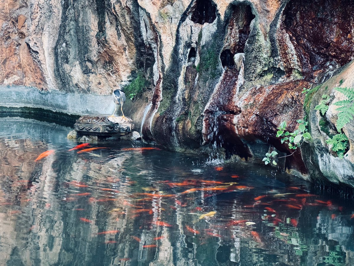 今天是普通的一天，也是我生命中非常重要的一个日子。

我终于直面我的父亲，对他说："我当年对你很不满，我有很多委屈，甚至愤恨。我曾觉得你不是个好父亲。但今天，我理解你了。那些都过去了，我不再生气了，我原谅你以前的一切。"这句话，我觉得很幸运，是在我四十四岁的时候，亲口对父亲说出来的。