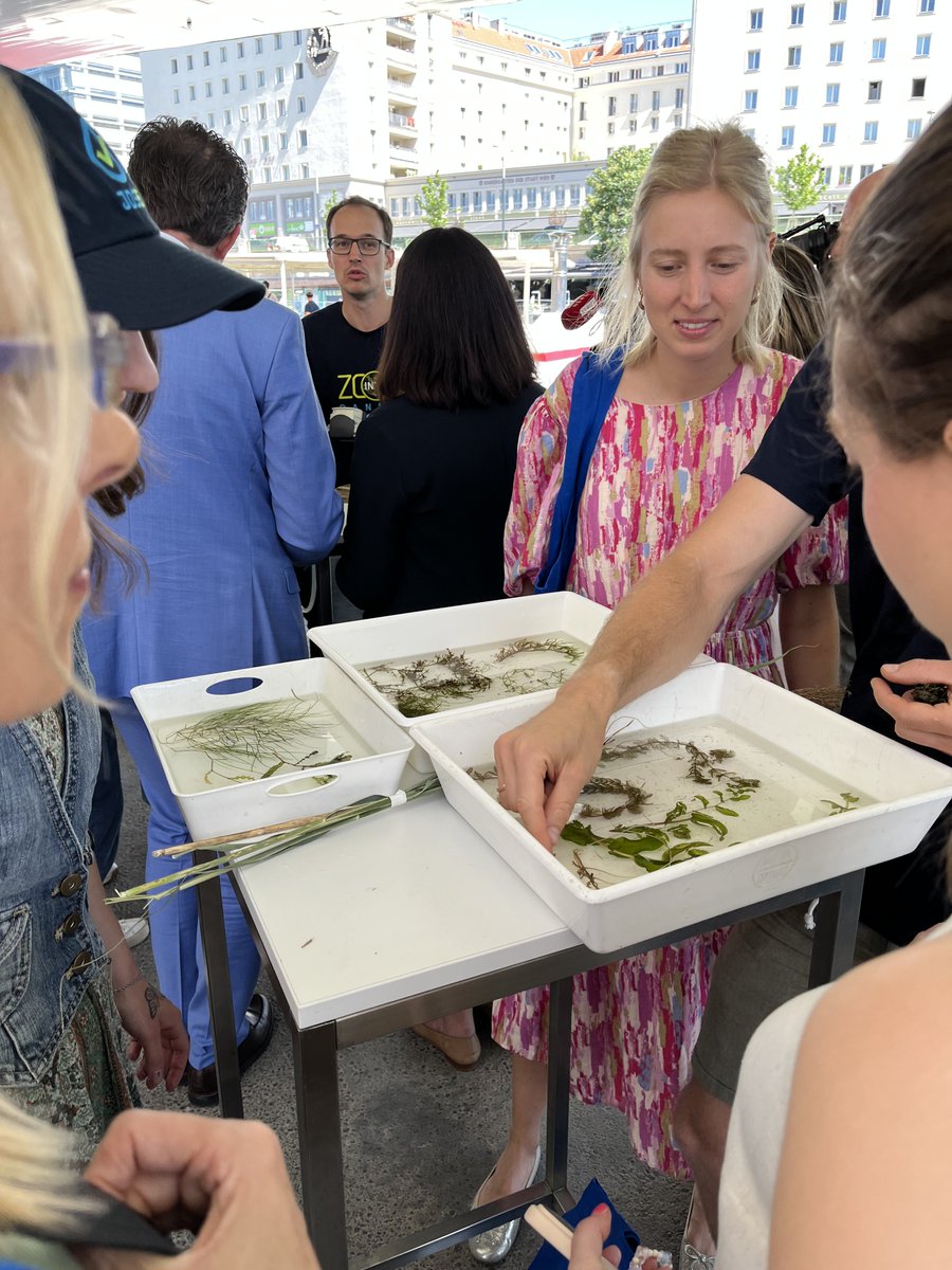 ICPDR_ORG's tweet photo. 🎉 #JDS5 is launched! 🌍 Today we kicked off the world’s largest surface water monitoring project in Vienna! 🔬 At the kick-off-event: Federal Minister Norbert Totschnig, BMLUK, ICPDR President Lidija Globevnik &amp; ICPDR Executive Secretary Birgit Vogel. 👉 https://t.co/RuiMj7emw1 https://t.co/wONYFYb2Pm