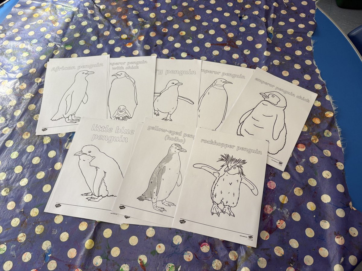 Fun House Link Club Ltd tweet media