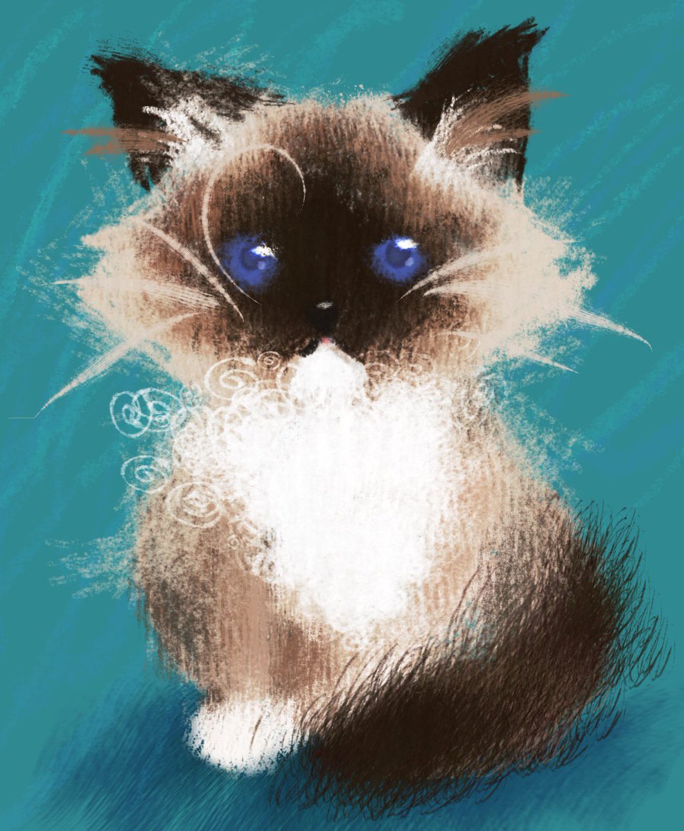 anari_ga's tweet photo. My cat Mochi🫰🏼

Drawn with @xiaozhubrush brushes! These brushes are so cute🥹 https://t.co/vetwKjcQwD