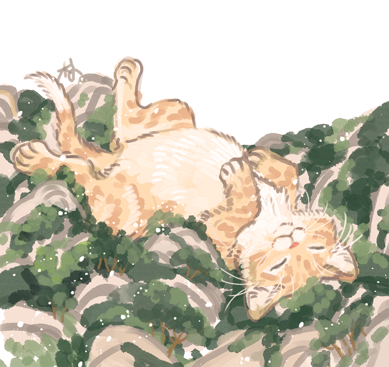 용봉산 고양이🐱