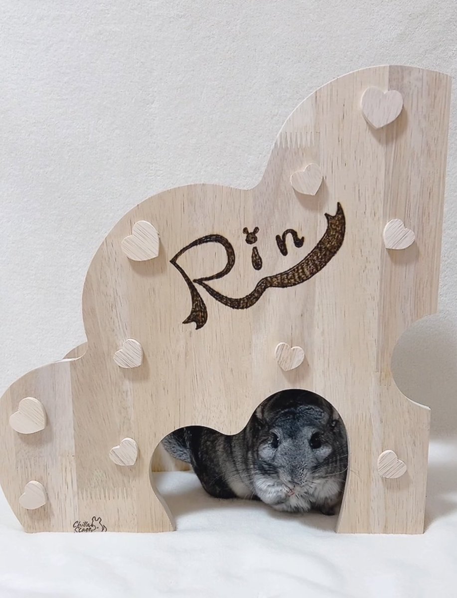 🐭凜🐾💕 tweet media