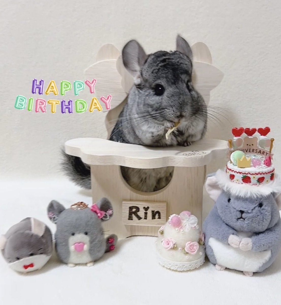 🐭凜🐾💕 tweet media