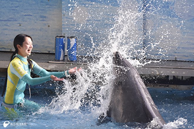 おはようございます。本日も9時～17時で開館いたします。 🔹夏季限定