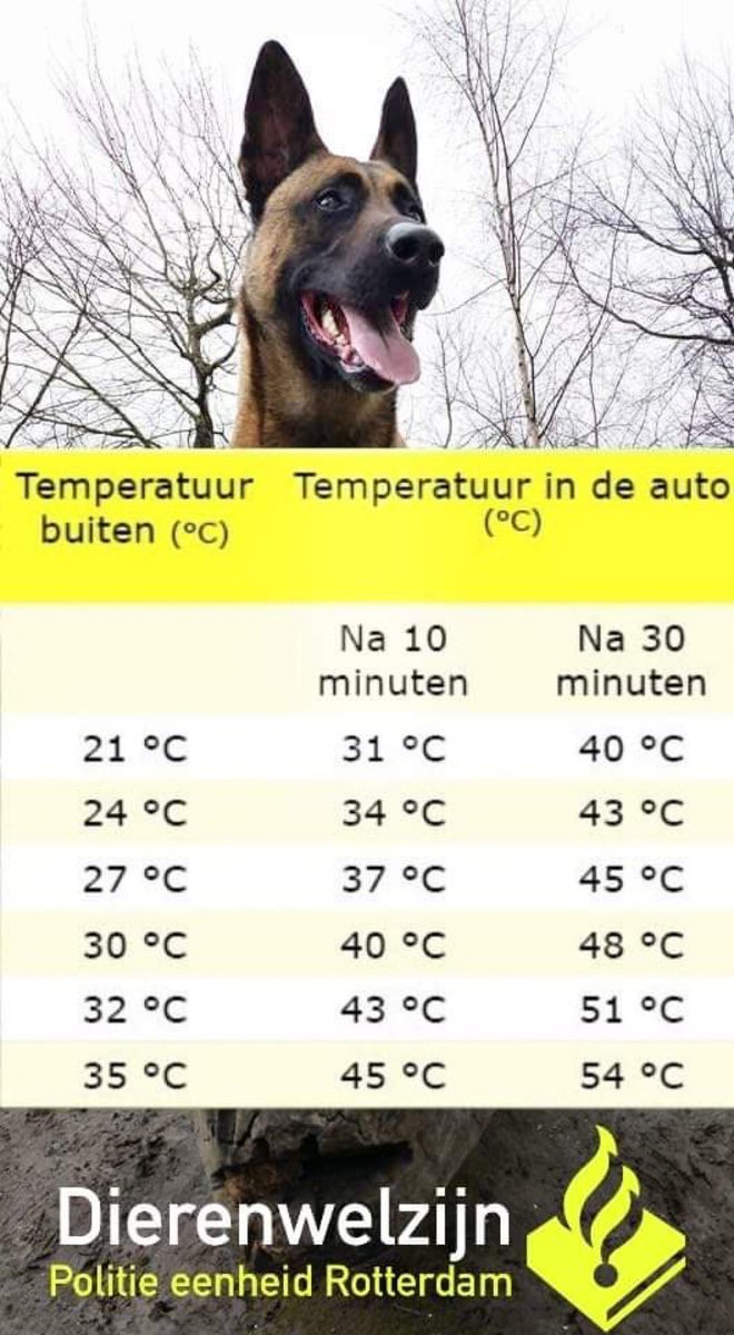 Wij zijn er weer druk mee! Helaas nog steeds treffen wij honden aan in bloedhete voertuigen.
Dieren in hete auto is een misdrijf #zorgonthouden in de wet Dieren. Wij zullen resoluut zijn en waar nodig het dieren bevrijden #hulpbieden 
Bent U onze ogen? Bel 112 bij dier in nood.