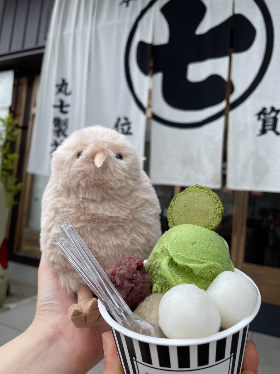 ご飯とスイーツキーウィ🍣🍵
#ぬいぐるみ #ハンドメイド #キーウィ