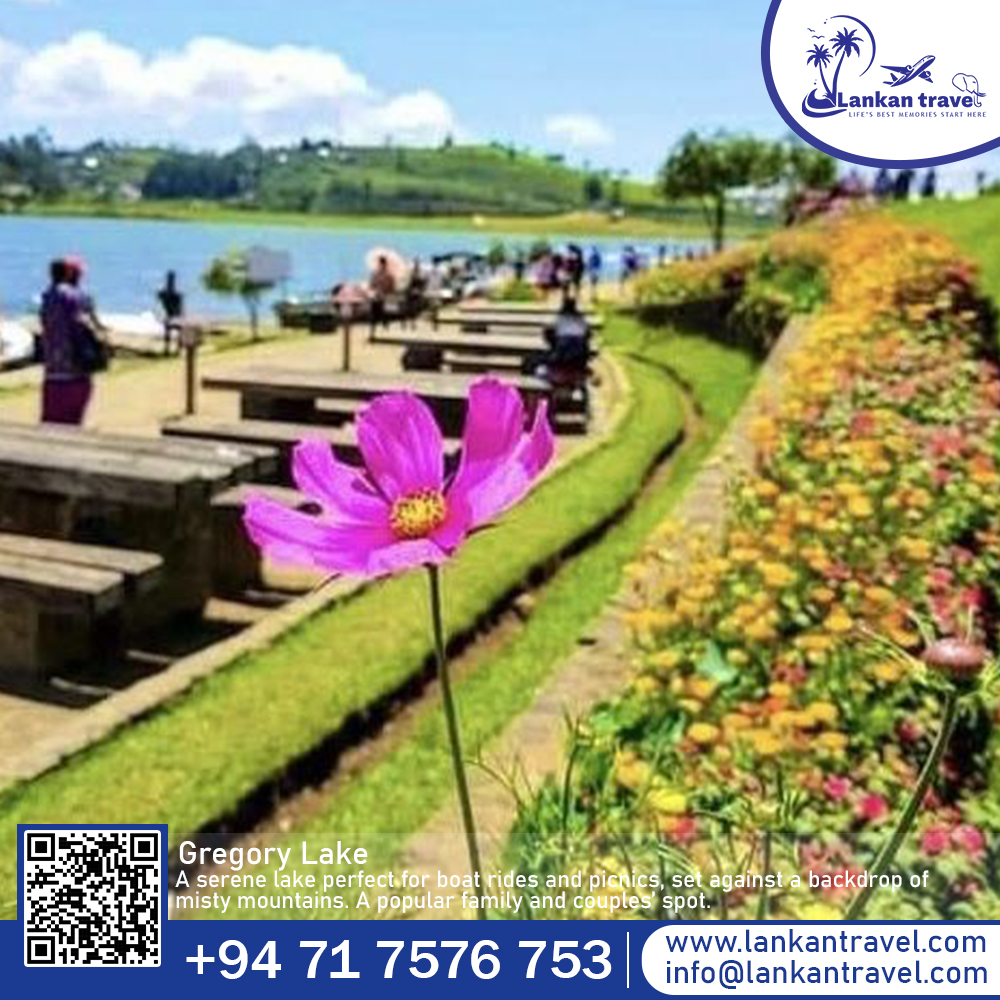 lankantravelpvt's tweet image. 🌸 Nuwara Eliya – Sri Lanka’s Little England! 🇱🇰

Cool Air, tea hills, and Colonial Charm make it the Perfect Nature Escape.

Join Lankan Travel!
🌐 lankantravel.com | 📞 +94 71 757 6753

#nuwaraeliyasrilanka #littleengland #teacountry #exploresrilanka
