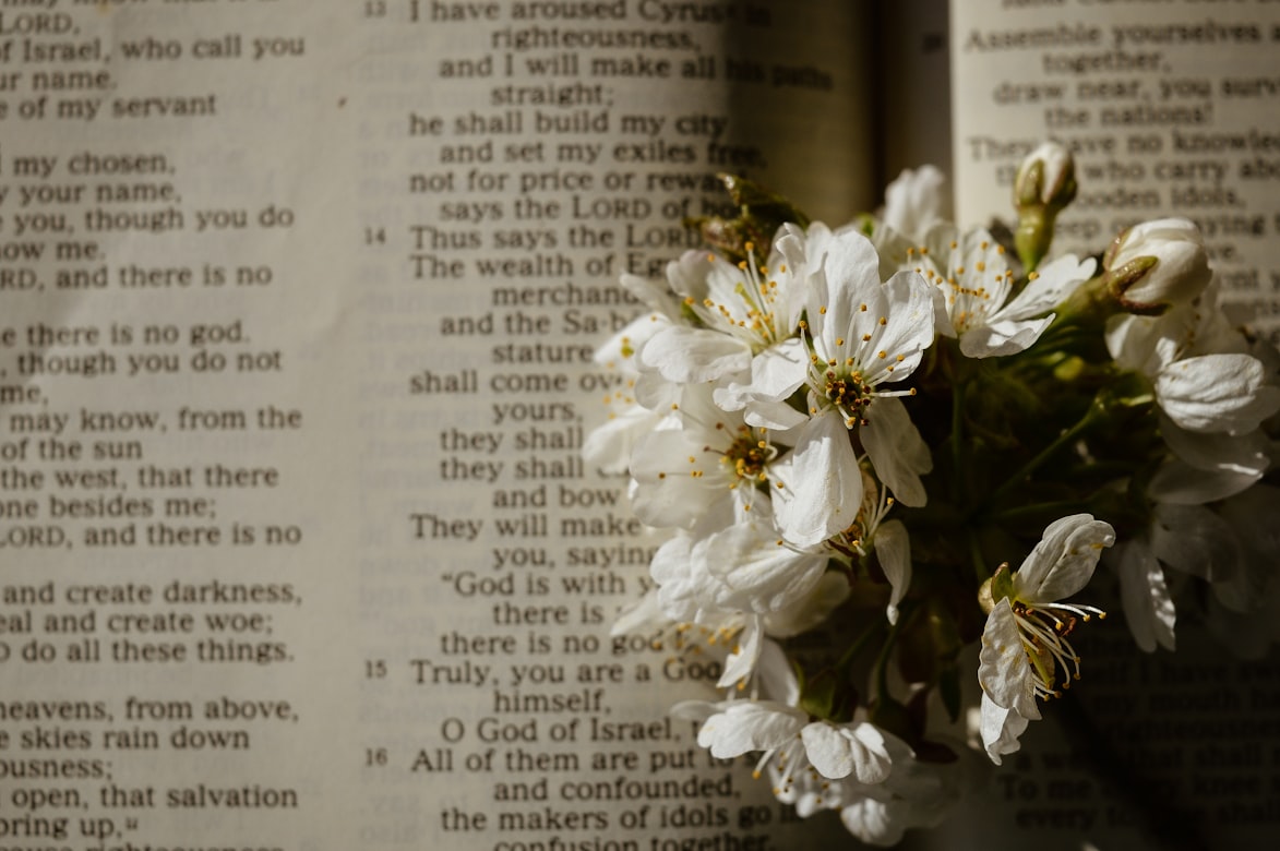 TomorrowsWar's tweet image. I trust in the LORD.
My soul trusts in his word.