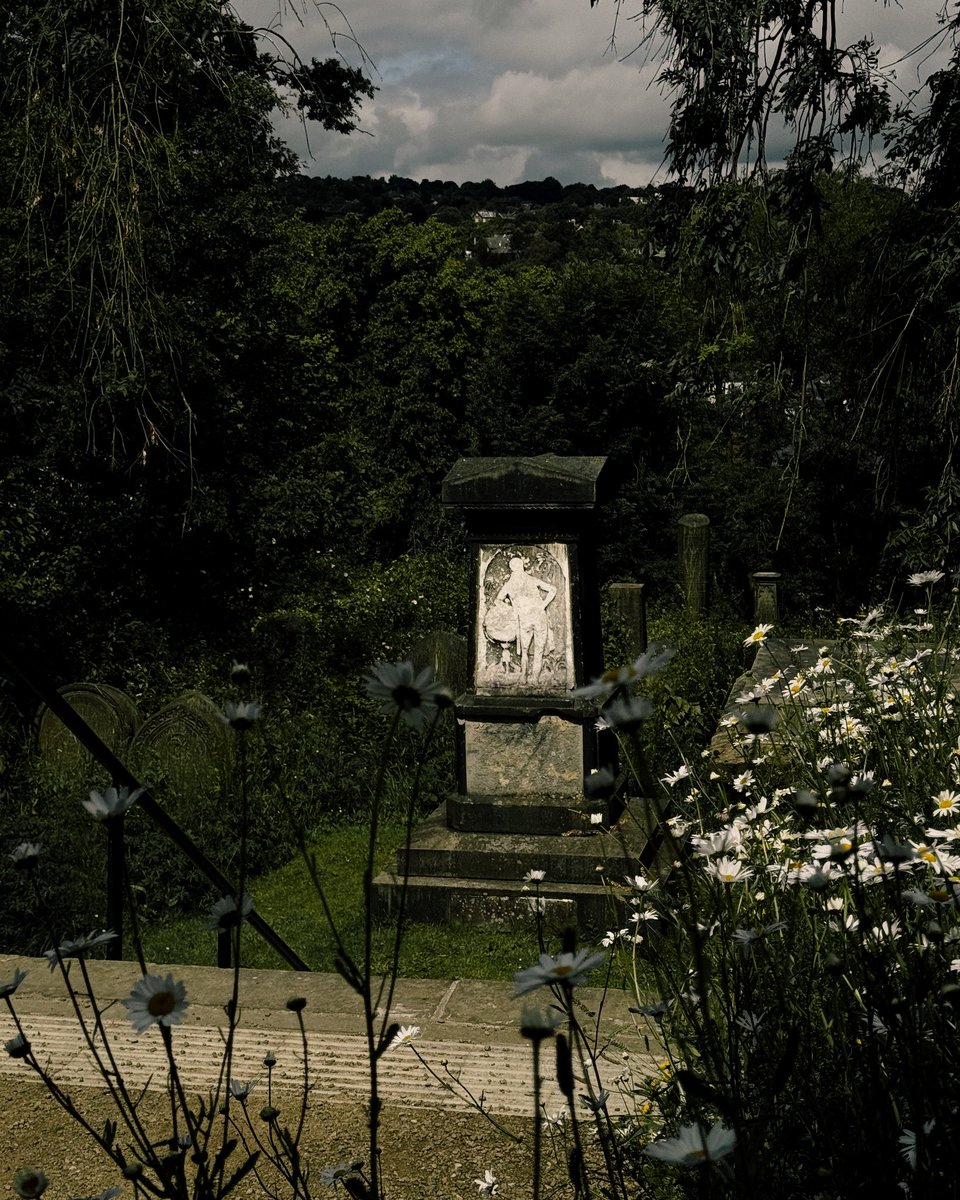 _alinatrifan's tweet image. living cemetery