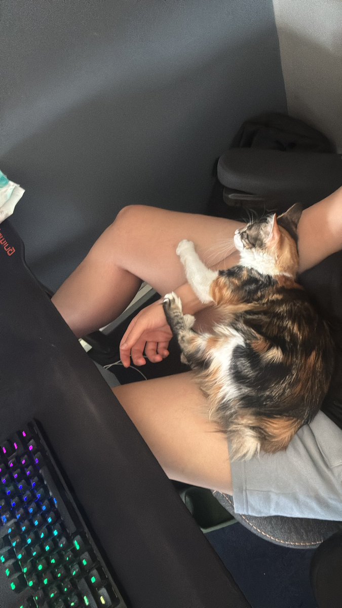 Yeni orta koridorumuz 🥰🥰