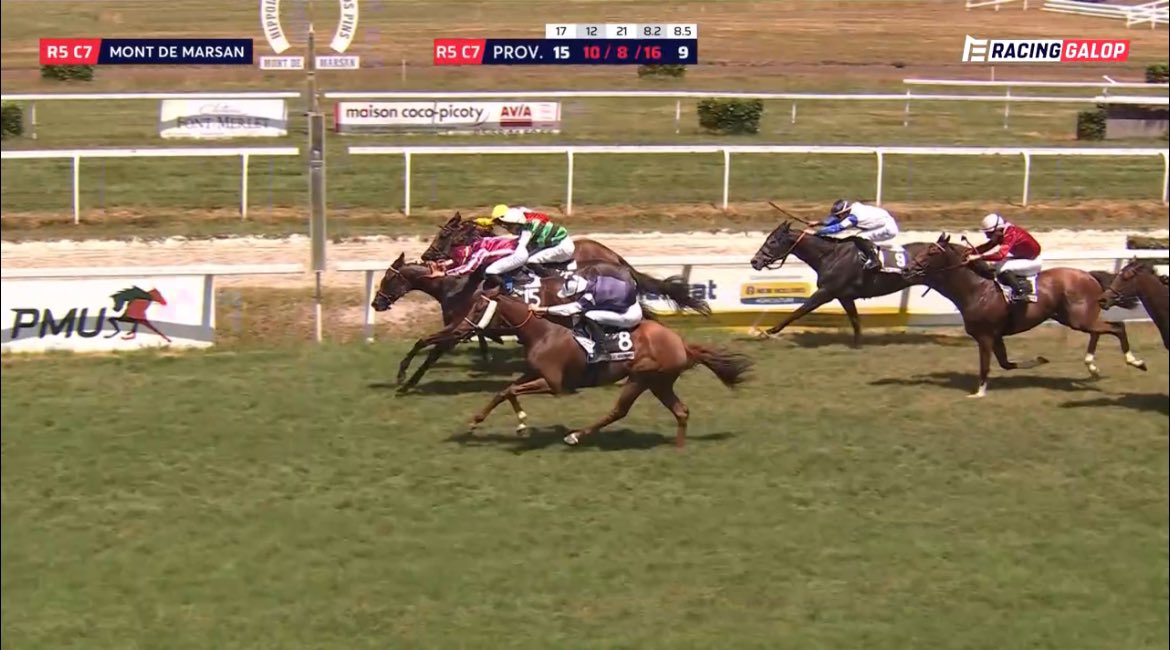 SPANISH TURF tweet media