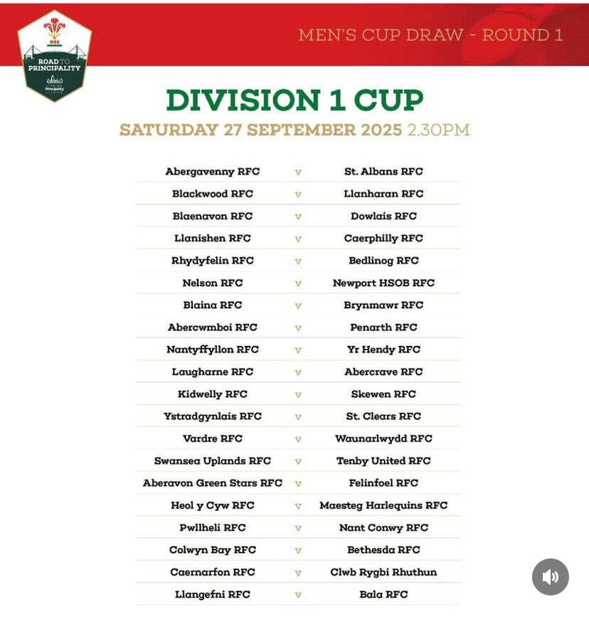 🏆 DIV1 Cup 🏆

The draw has been made and we face Abercwmboi Away in the First Round on 27th September 

#div1cup #upthebears 🐻