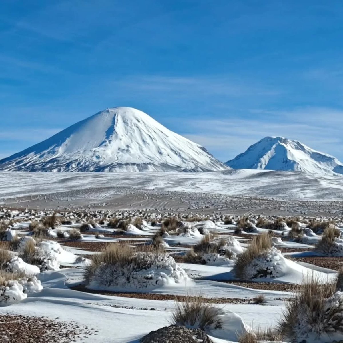 ¡Buenísimos días coterraneos! 🌥️
🥰Seguimos mostrando la belleza de nuestra región en este invierno. El altiplano sigue en algunos puntos con nevadas y un clima muy extremo con temperaturas de hasta -10° 🌨️🥶
📸 @zam_lupo 
#Arica #Chile #aricayparinacota #aricaesbacán