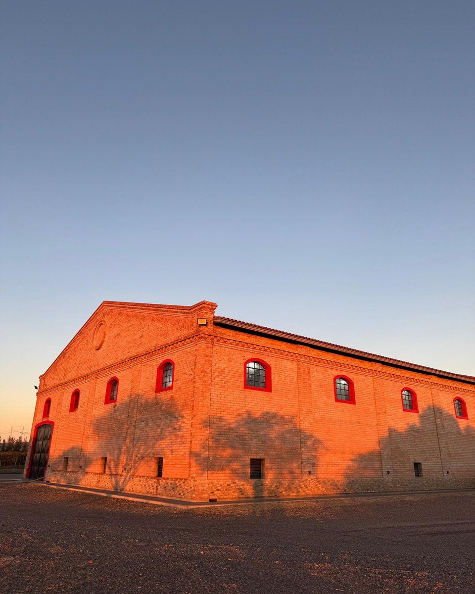 ALHmalbec's tweet image. Amanece en nuestra bodega… la naturaleza en invierno descansa, y nuestros vinos también.
El ciclo del año marca este periodo de espera que acompañamos a paso lento pero firme, escuchando a la naturaleza, que es nuestra forma de trabajar con ella.