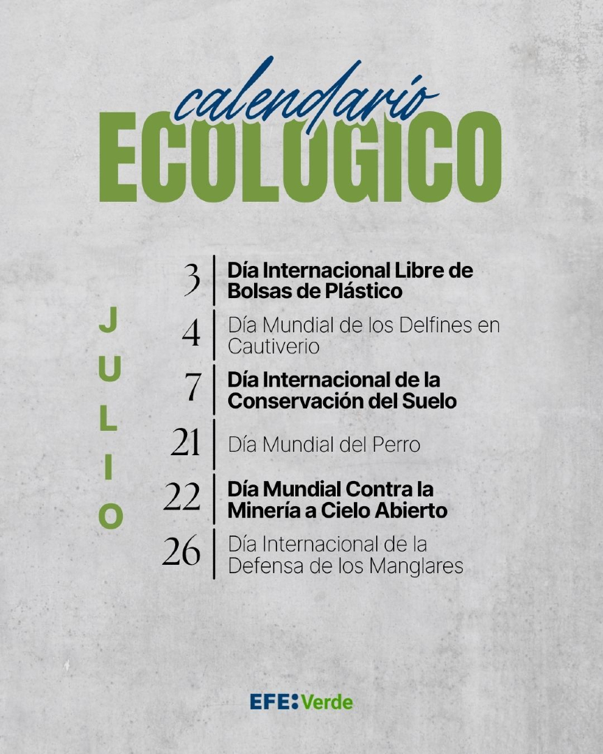 Calendario ecológico: éstas son los días y fechas clave para un #julio 2025 más sostenible efeverde.com/calendario-eco… #diasambientales