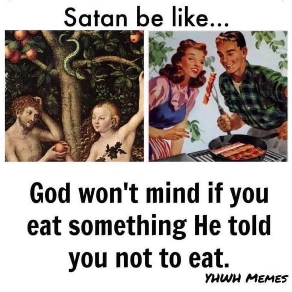 FortheLOVEofYAH's tweet image. 