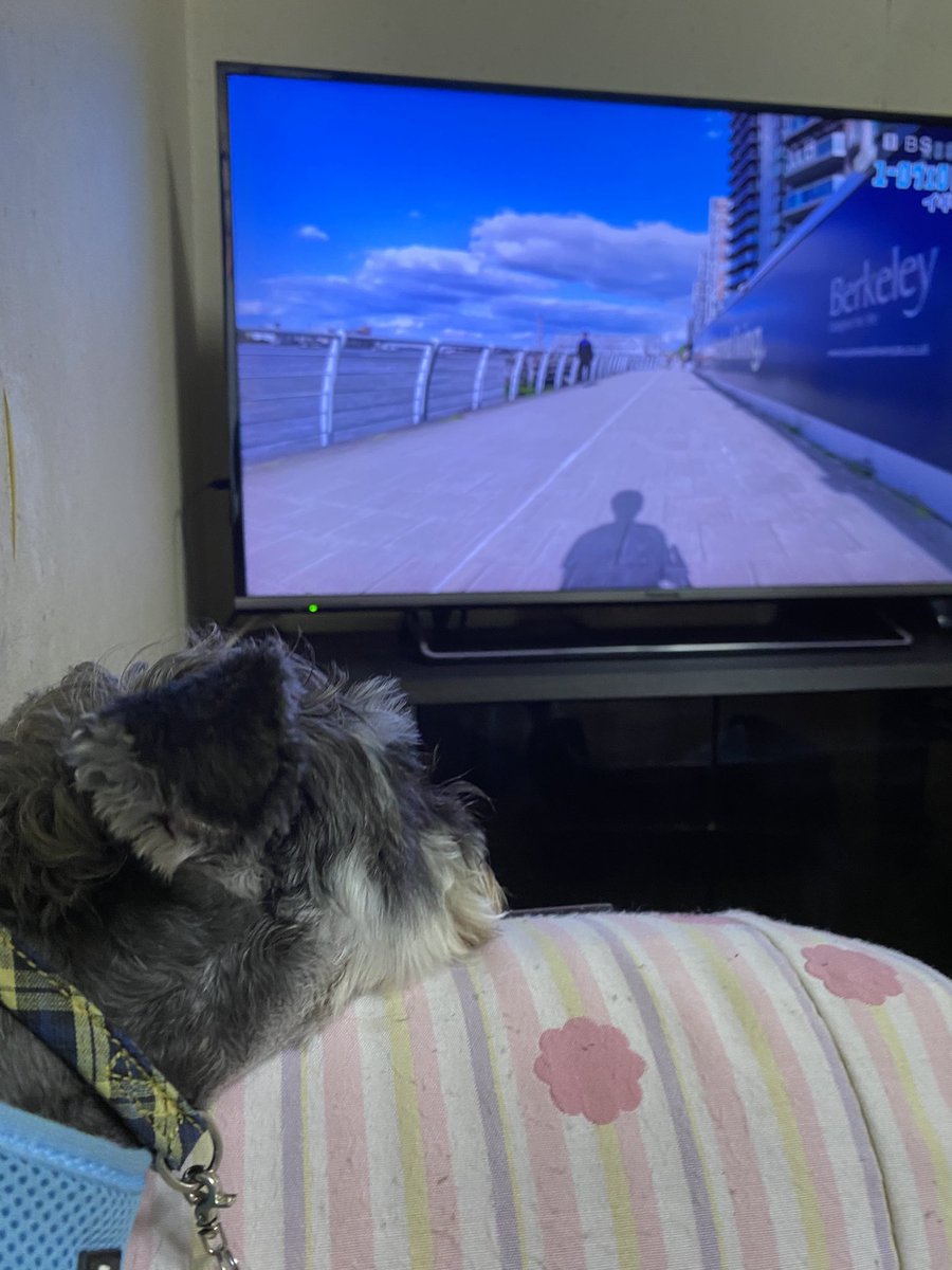 unpei8's tweet photo. 嬉しい〜
やっと新シリーズ観られる！
#NHKBS #イギリスからオランダへ90000キロ 
#ミニ
#ユーロヴェロ #自転車旅
#アキラ https://t.co/TAfZt8P5EL