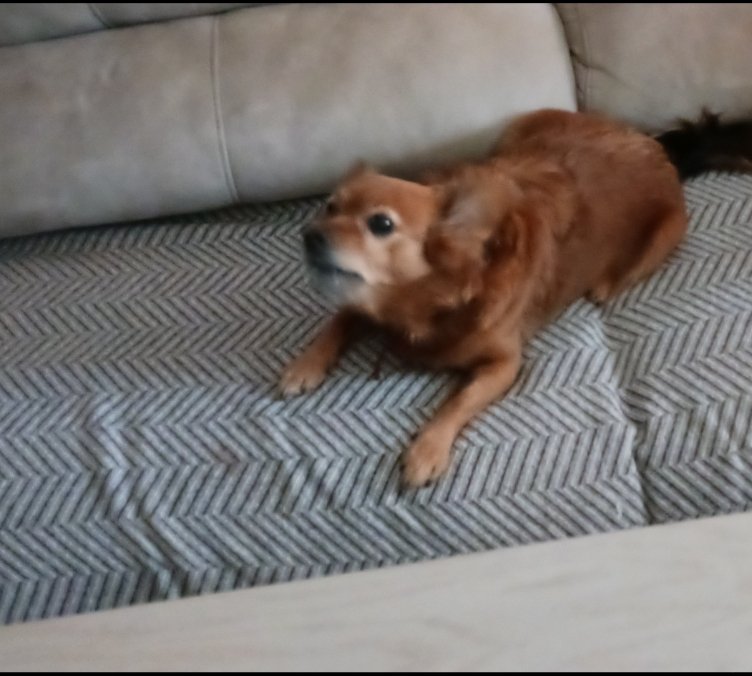 ⚡ ᷜPerseo_Skywalker⚡ ᷜ tweet media