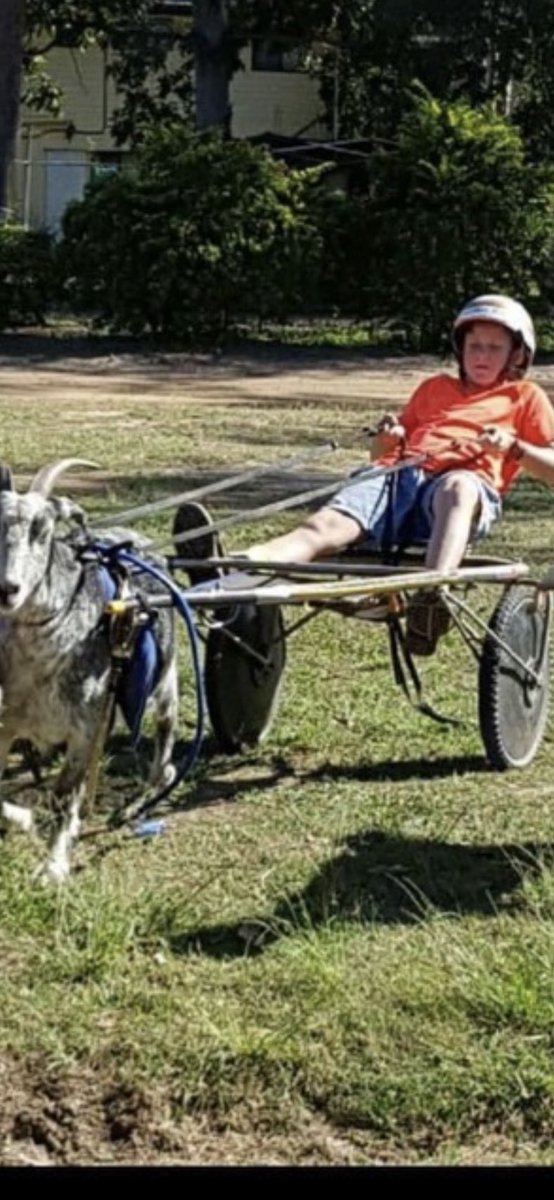 250 wins for Lleyton Green / outdriving his claim.