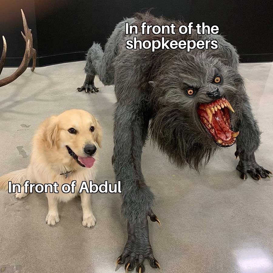 MNS goons be like: