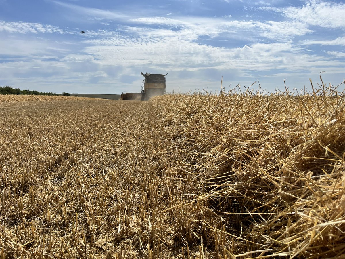 Day 2 #harvest25 #Dorset