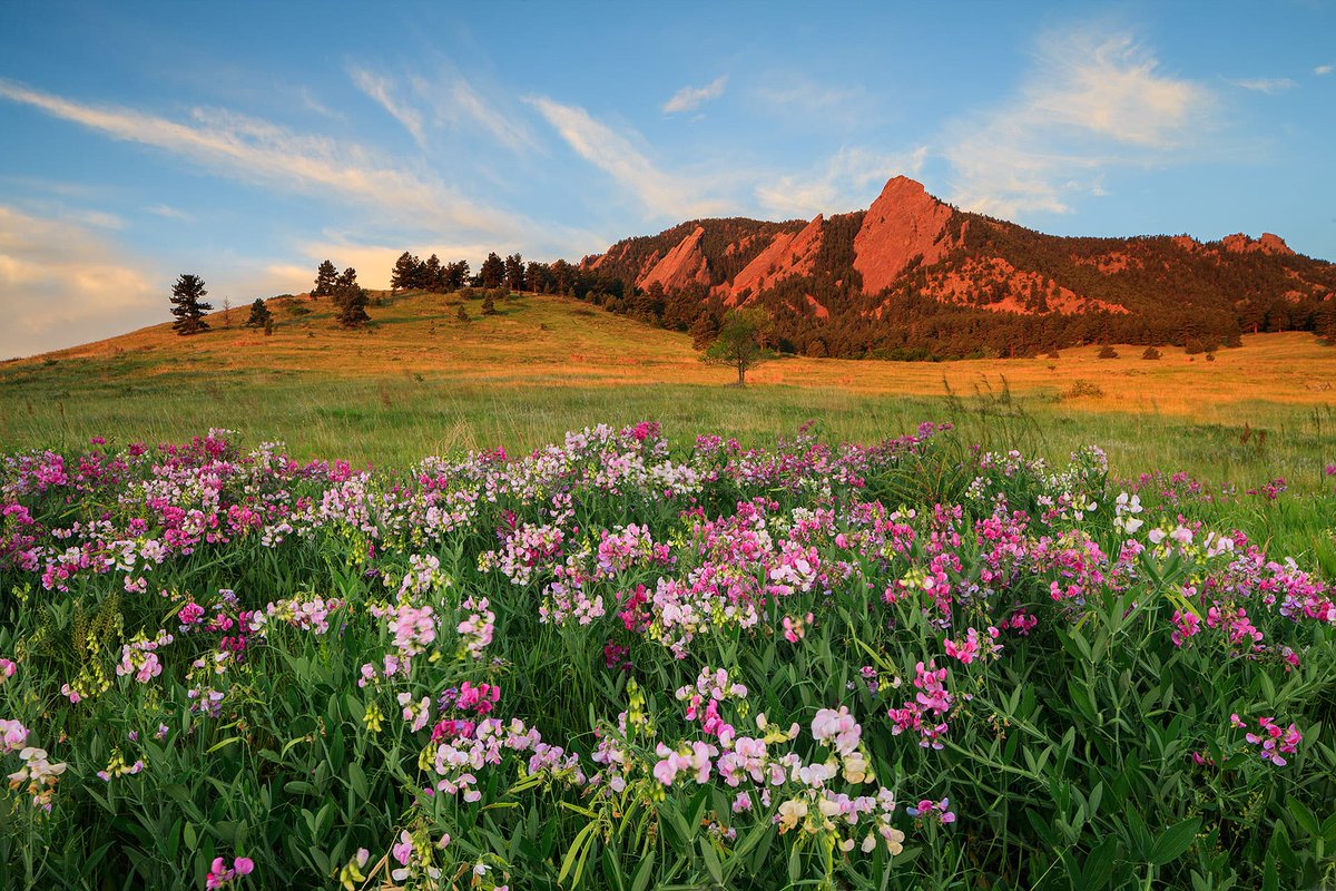 PLDI's tweet image. And to conclude this year's tweets, here is a brief announcement about next year's PLDI! PLDI 2026 will take place in the beautiful 🏔️ Boulder, Colorado 🏔️. We will see you all there!
The website is already up (pldi26.sigplan.org) so stay tuned for more updates!