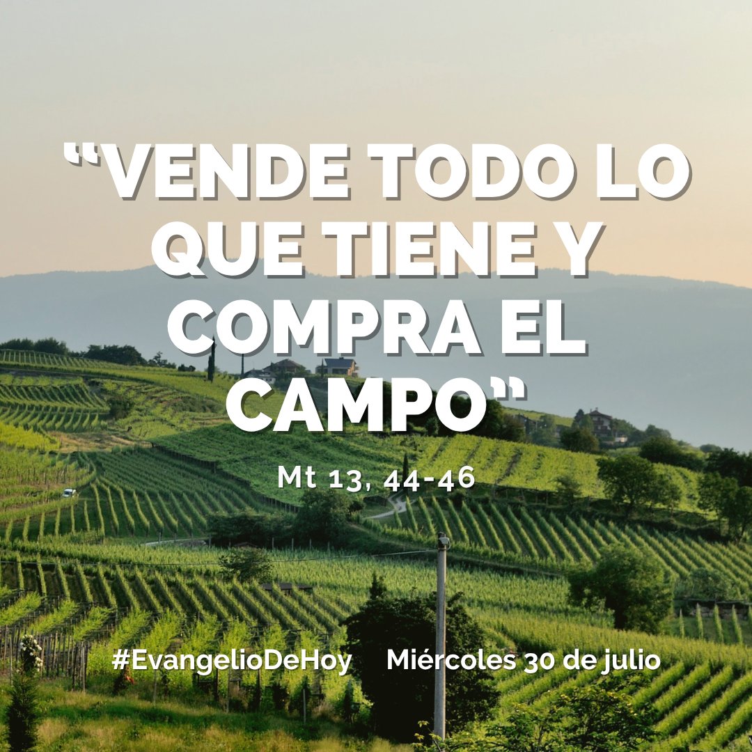 #EvangelioDeHoy. MIÉRCOLES, 30 DE JULIO. - Mt 13, 44-46. Vende todo lo que tiene y compra el campo.