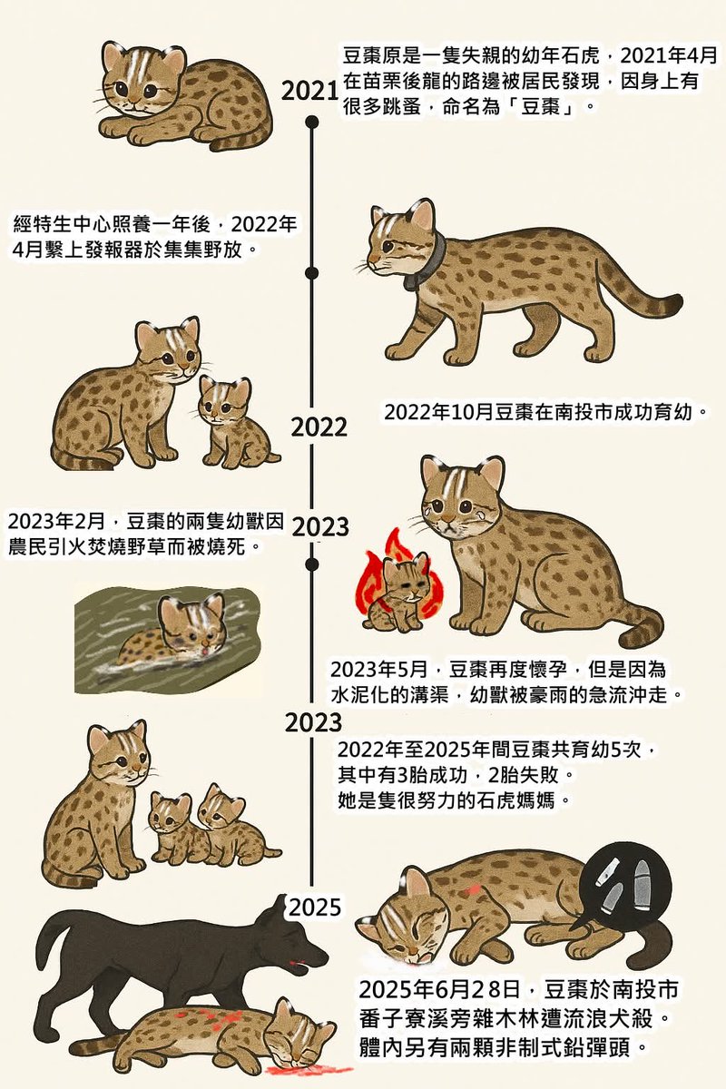 轉自臉書李璟泓大哥全文:
在這幾年，我一直聽到石虎豆棗的故事。