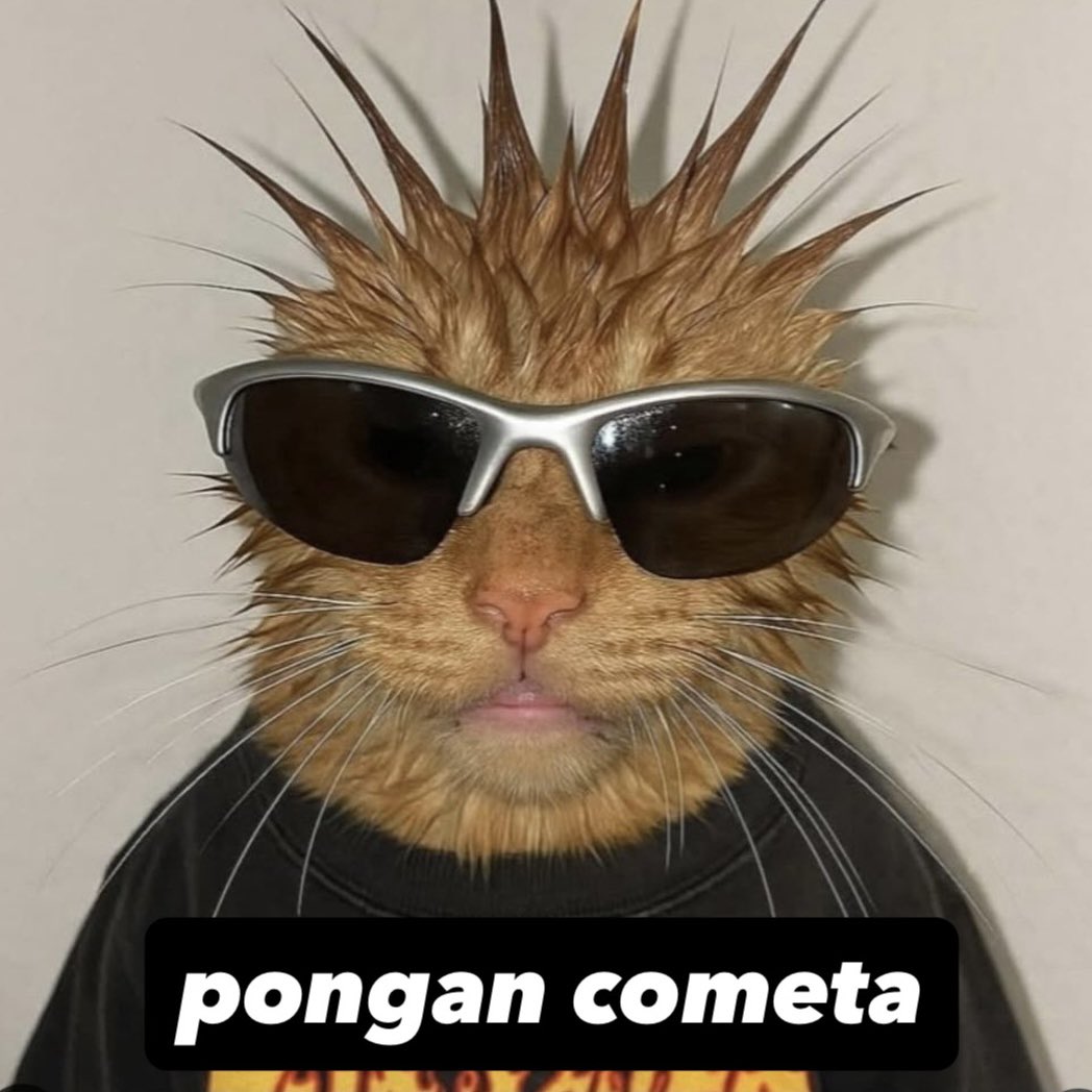 ☄️ COMETA ☄️ (@cometainforma) on Twitter photo 