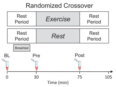 #CurrDevNutr study examined age-related differences in the effect of acute #exercise on appetite-regulating hormones, finding "age-related variations did not translate into differences in subjective hunger or fullness." #appetite #satiety #hormones #aging ow.ly/Hyxg50Wi1ko