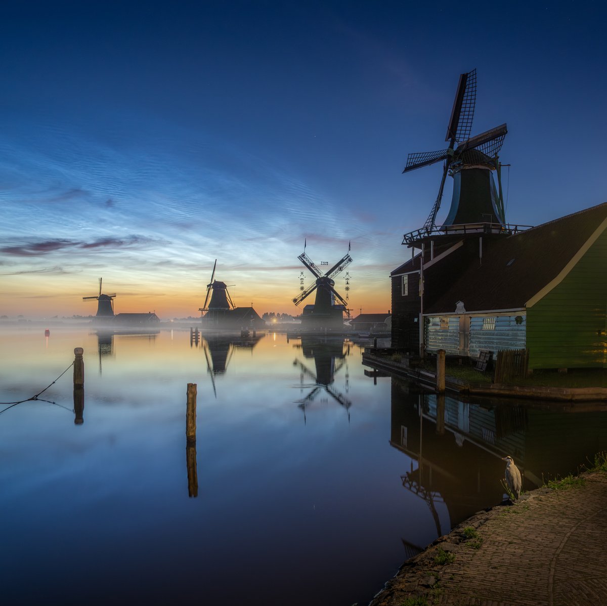 The Nightwatcher

Around 4 AM yesterday morning, a stork is watching the noctilucent clouds and the dutch windmills reflecting in the still waters of Zaanse Schans.