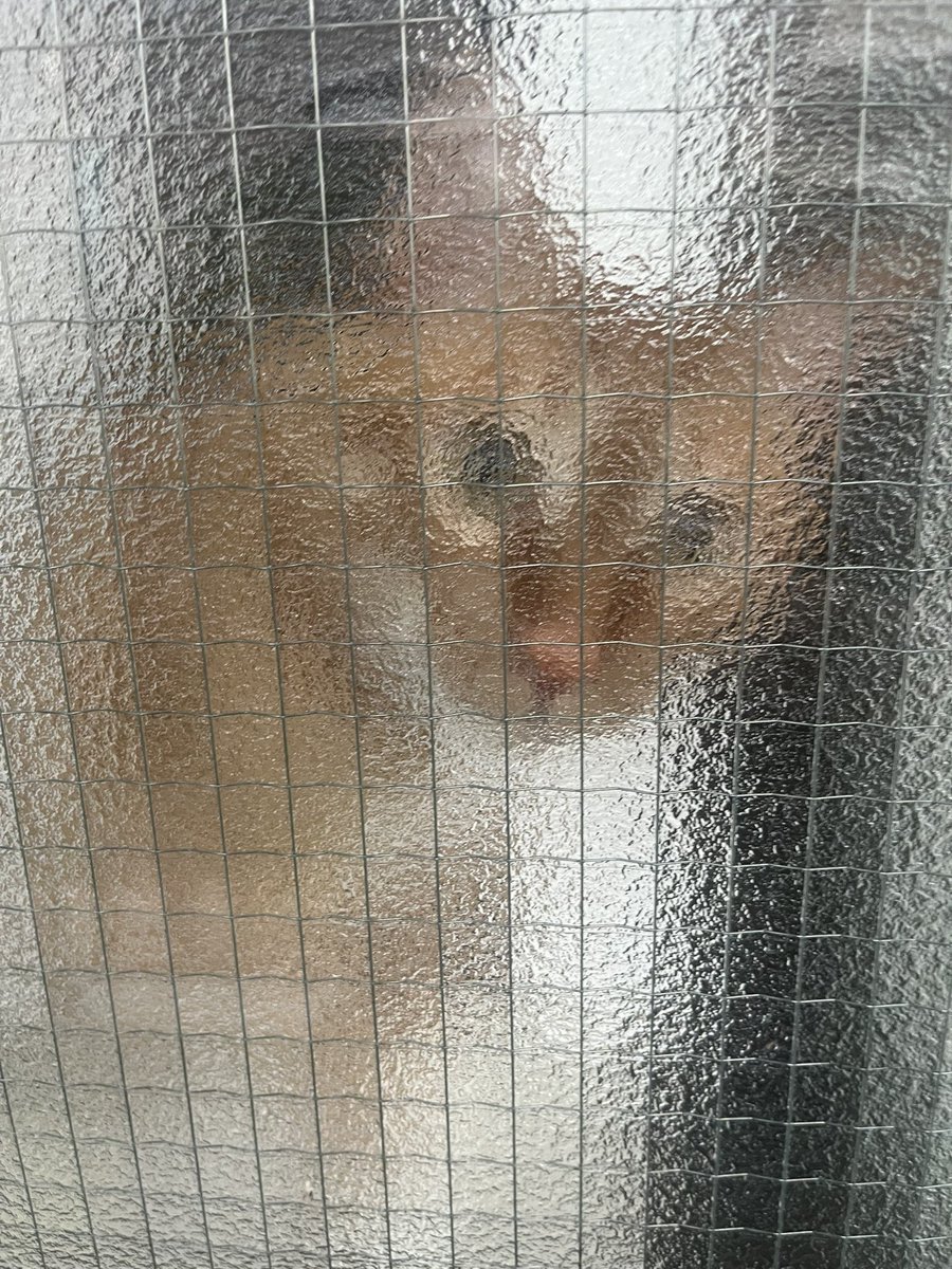 今日から7月〜！今年ももう残り半分〜
目まぐるしさと穏やかさと心強さと〜

歩いたり走ったり寝転がったりしながら
元気にそれなりに駆け抜けよう☺︎