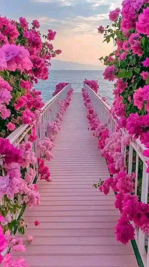 محمود المصرى (@mhmwd_alms21629) on Twitter photo 