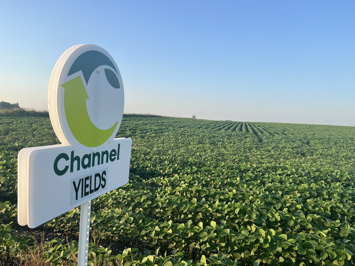 Joe Hora (@joe_hora) on Twitter photo These <a href="/ChannelSeed/">Channel Seed</a> 1822RXF are off to a great start here in central Iowa. Be on the lookout for more phenomenal #Channel products throughout the countryside! These <a href="/ChannelSeed/">Channel Seed</a> 1822RXF are off to a great start here in central Iowa. Be on the lookout for more phenomenal #Channel products throughout the countryside!